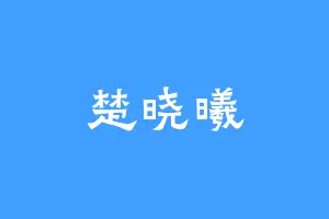 楚晓曦