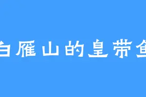 白雁山的皇带鱼