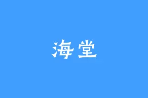 海堂