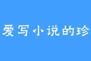 爱写小说的珍
