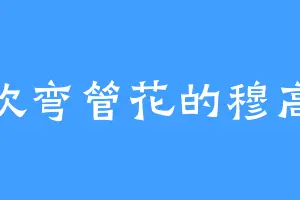 喜欢弯管花的穆高枫
