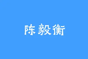 陈毅衡