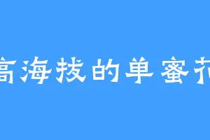 高海拔的单蜜花