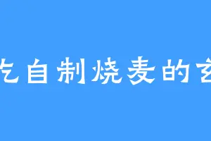 爱吃自制烧麦的玄古