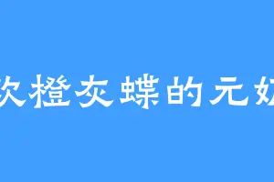 喜欢橙灰蝶的元奶奶