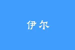 伊尔