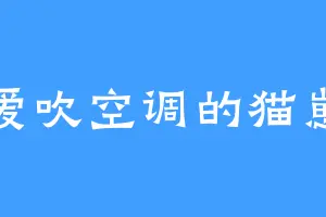 爱吹空调的猫崽