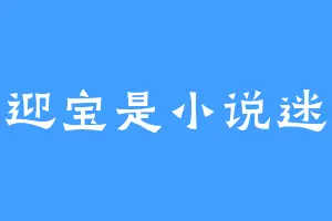 迎宝是小说迷