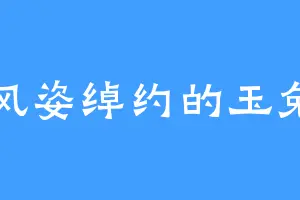 风姿绰约的玉兔