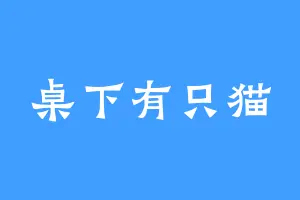 桌下有只猫