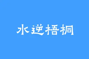 水逆梧桐