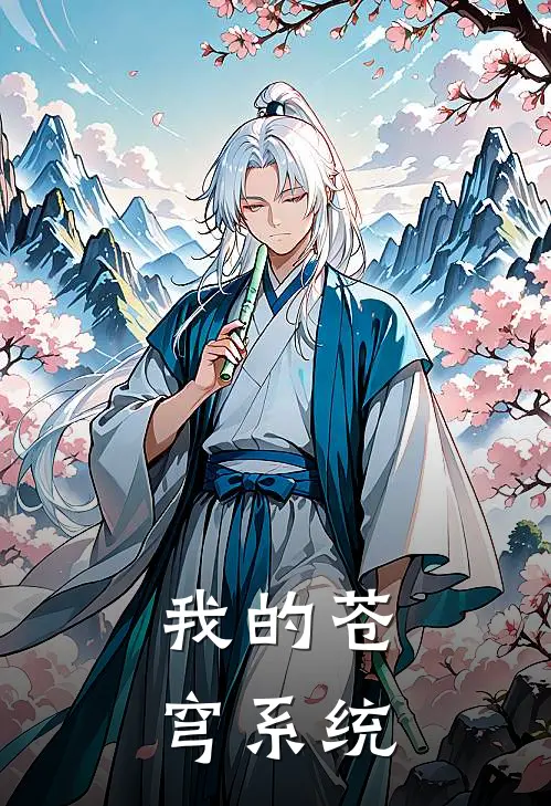 我的苍穹系统