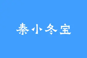 秦小冬宝