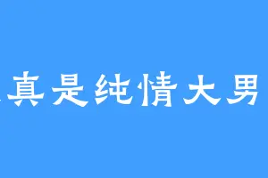 我真是纯情大男孩