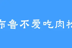布鲁不爱吃肉松