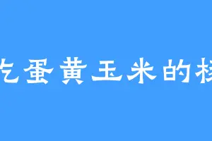 爱吃蛋黄玉米的杨杨