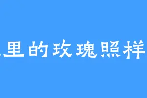 废墟里的玫瑰照样盛开
