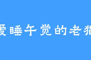 爱睡午觉的老猫