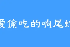 爱偷吃的响尾蛇