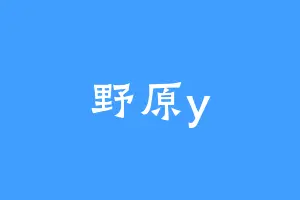 野原y