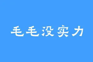 毛毛没实力