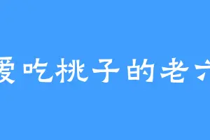 爱吃桃子的老六