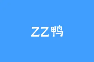 ZZ鸭