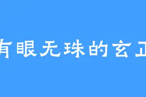 有眼无珠的玄正