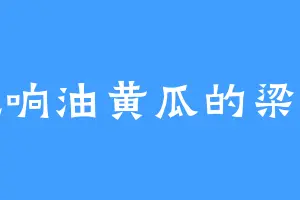 爱吃响油黄瓜的梁家表