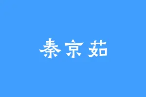 秦京茹
