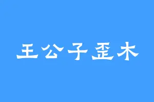 王公子歪木