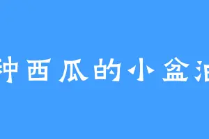 种西瓜的小盆油