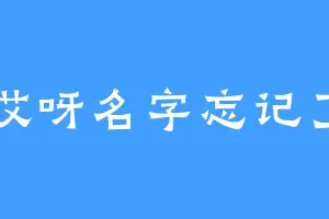 哎呀名字忘记了