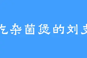 爱吃杂菌煲的刘支书