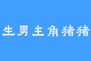 人生男主角猪猪侠