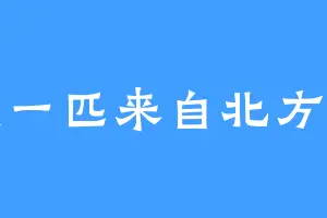 我是一匹来自北方的狼