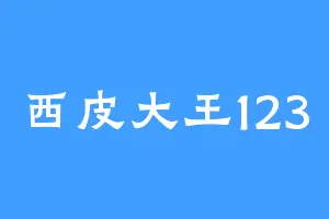 西皮大王123