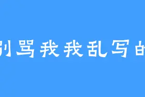 别骂我我乱写的