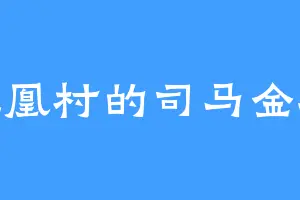 凤凰村的司马金驰
