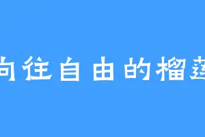 向往自由的榴莲