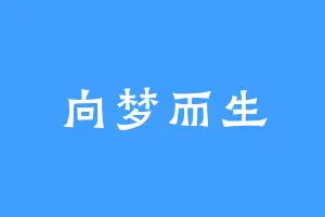 向梦而生