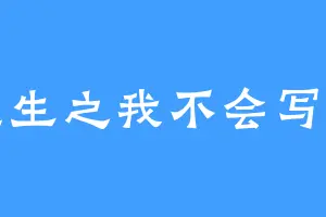 重生之我不会写文