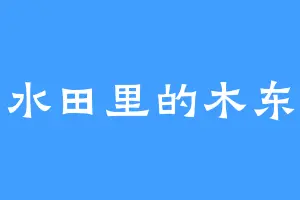 水田里的木东