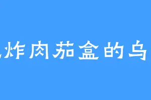 爱吃炸肉茄盒的乌拉特