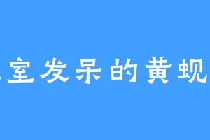 教室发呆的黄蚬子