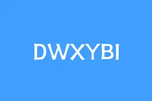 DWXYBI