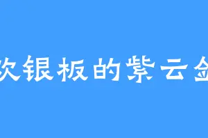 喜欢银板的紫云剑宗