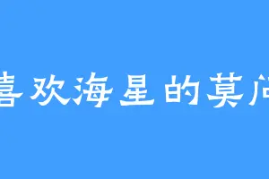 喜欢海星的莫问