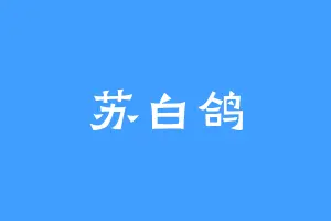 苏白鸽