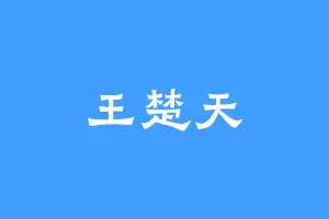 王楚天